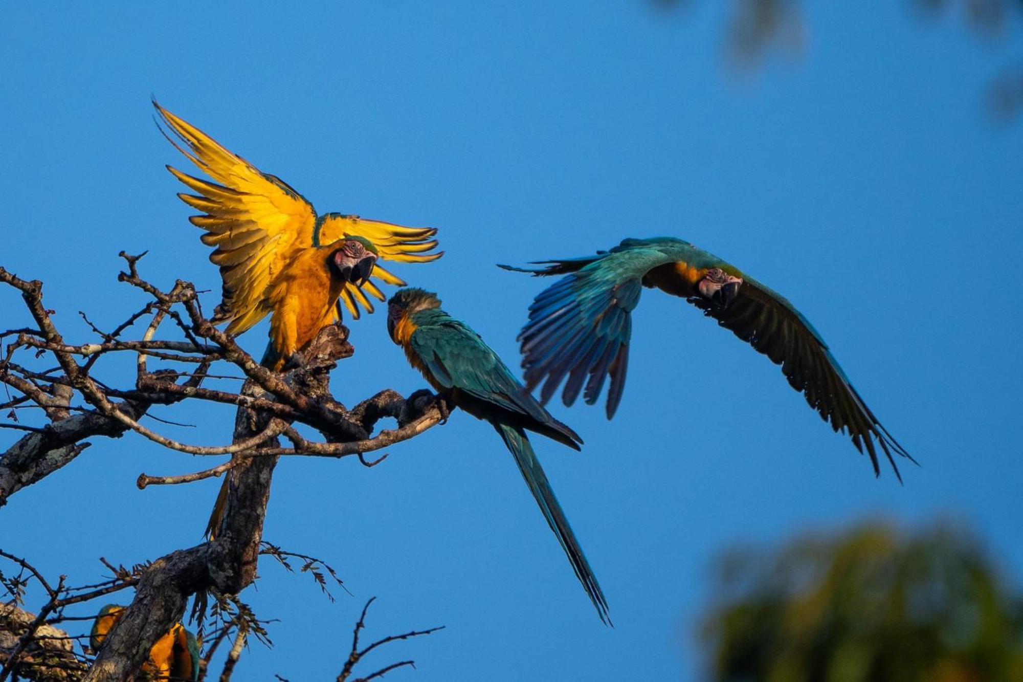 Grand Amazon Lodge And Tours Paraíso 外观 照片